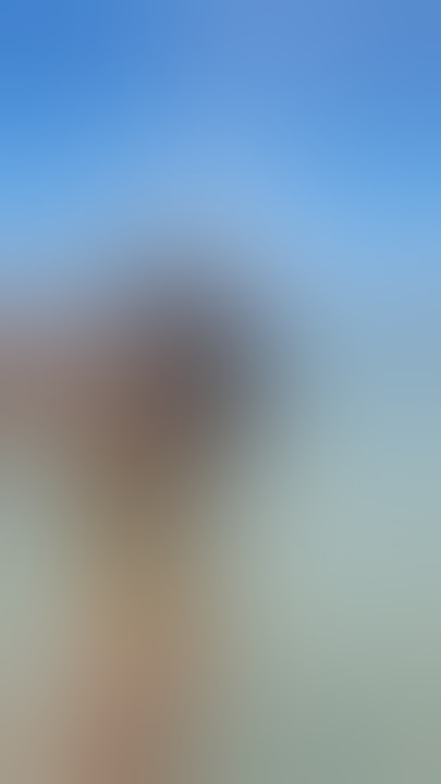 En el Caribe Mexicano 📍