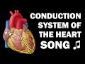 Cardiac Conduction System Quiz