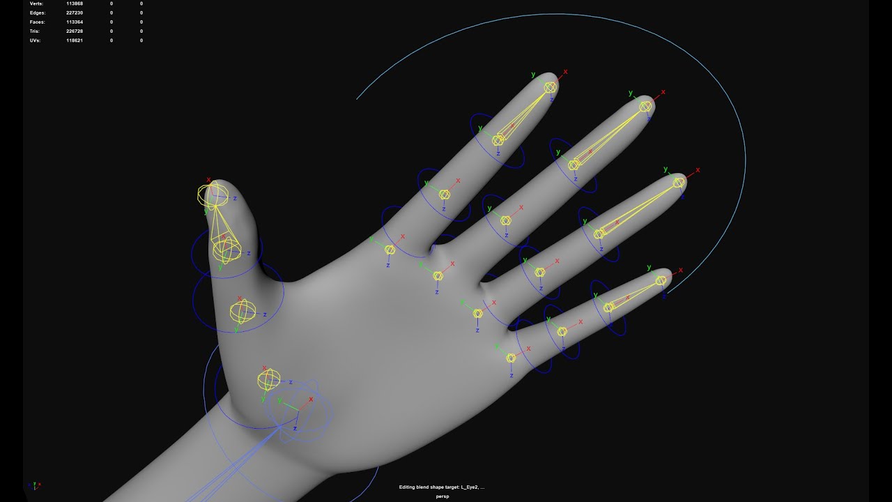 Finger Rig Controllers Maya Maya Rig Fingers SDK - YouTube