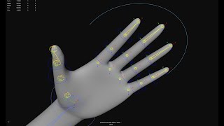 Maya Rig Fingers SDK Maya Rig Fingers SDK