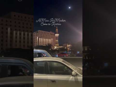 لم يكن الرحيل مطلبي   