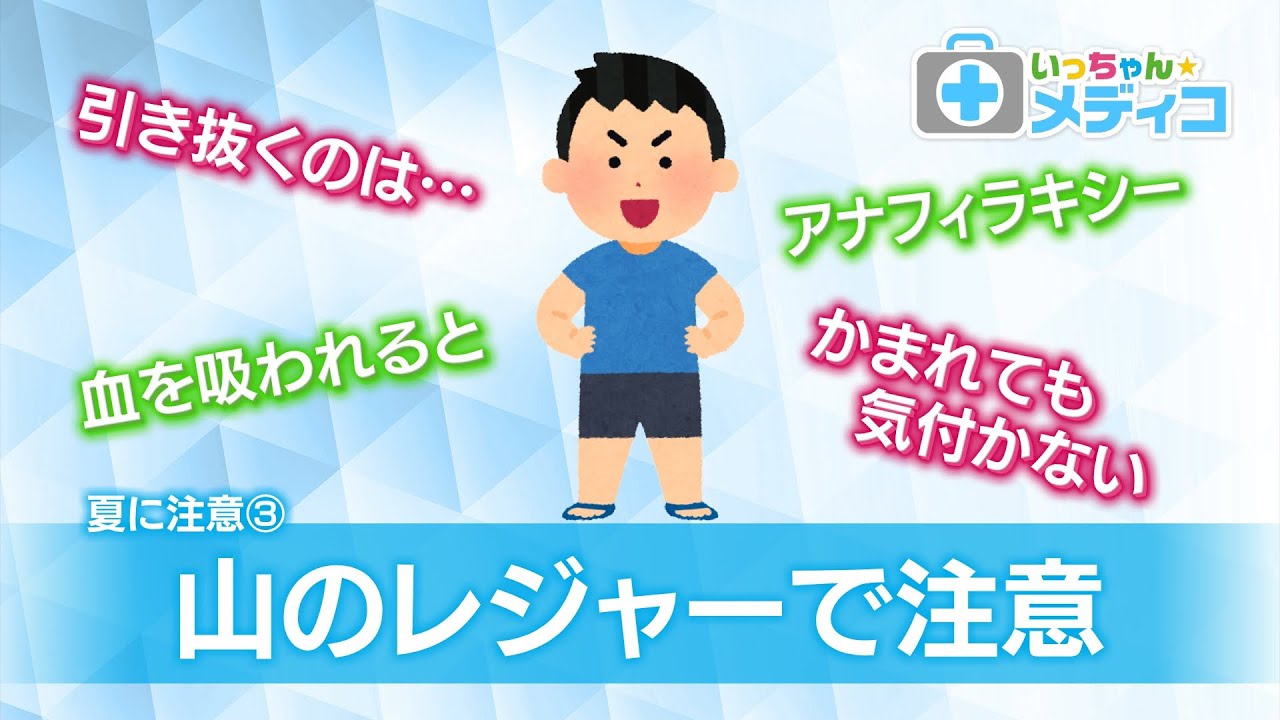 8月7日（月）のいっちゃん☆KNBは…｜いっちゃん☆KNB｜KNB WEB｜北日本