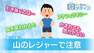 8月7日（月）のいっちゃん☆KNBは…｜いっちゃん☆KNB｜KNB WEB｜北日本