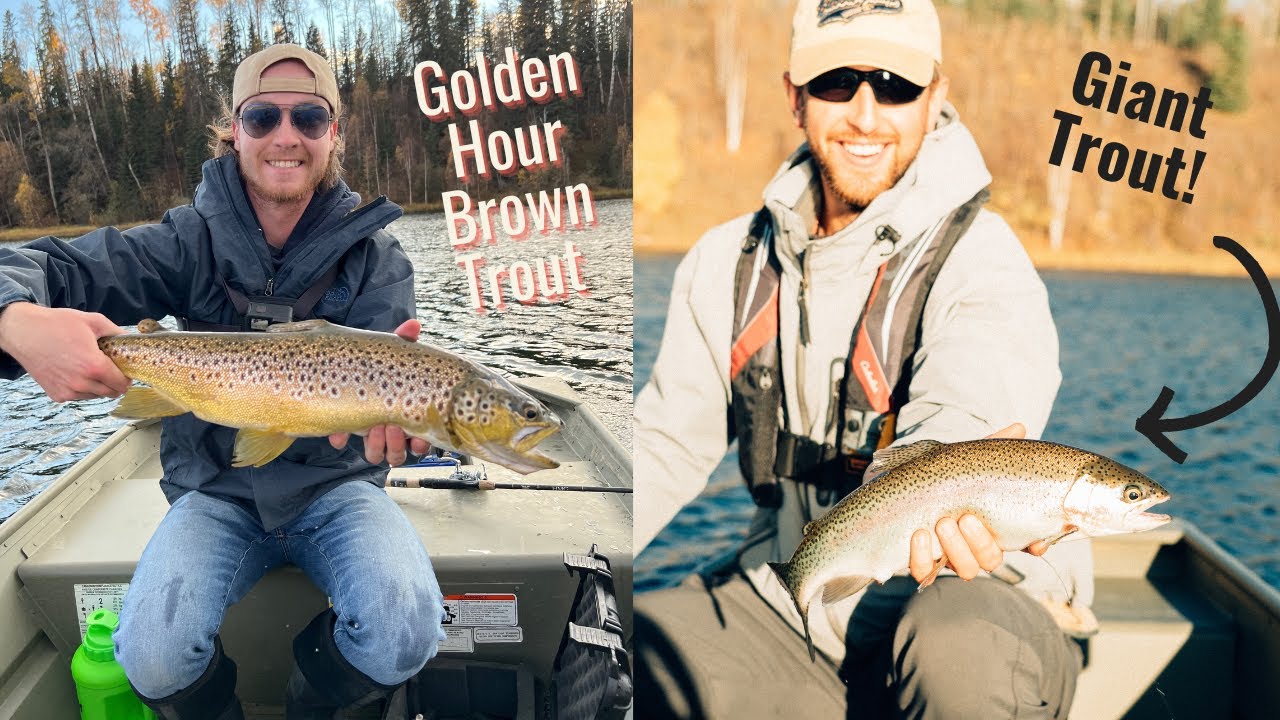 Golden Hour Brown Trout | Epic Multi-Species Evening!