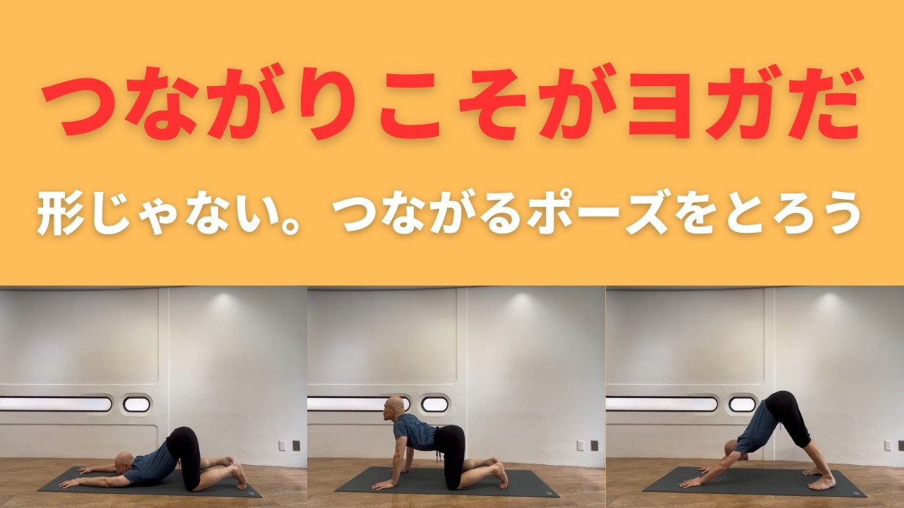 全身のつながりでポーズをとる体験をしよう|伸びたネコ・ネコ・ダウンドッグ
