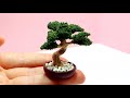 Miniature bonsai tree💚