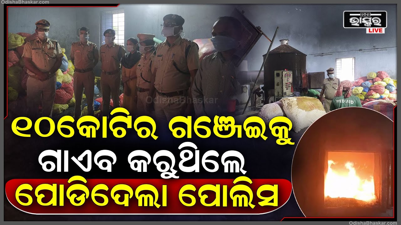 ଦେଖୁ ଦେଖୁ ମାଡିବସିଲା ପୋଲିସ, କାନ୍ଦିଲେ ଗଞ୍ଜେଇ ମାଫିଆ, ଗାଏବ କରୁଥିଲେ ୧୦କୋଟିର ଗଞ୍ଜେଇ ହେଲେ ଧରିଦେଲା ପୋଲିସ ।