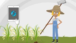 SapphireOne ERP Agriculture Industry screenshot 5