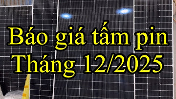 Báo giá tấm pin tháng 12/2025, miền Nam vào vụ, miễn phí vận chuyển 