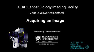 3. Zeiss LSM Confocal - Acquiring an Image