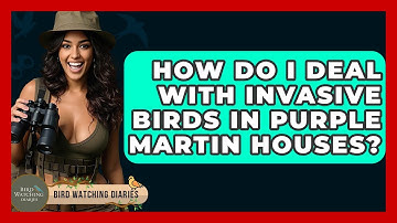 How Do I Deal With Invasive Birds In Purple Martin Houses? - Bird Watching Diaries