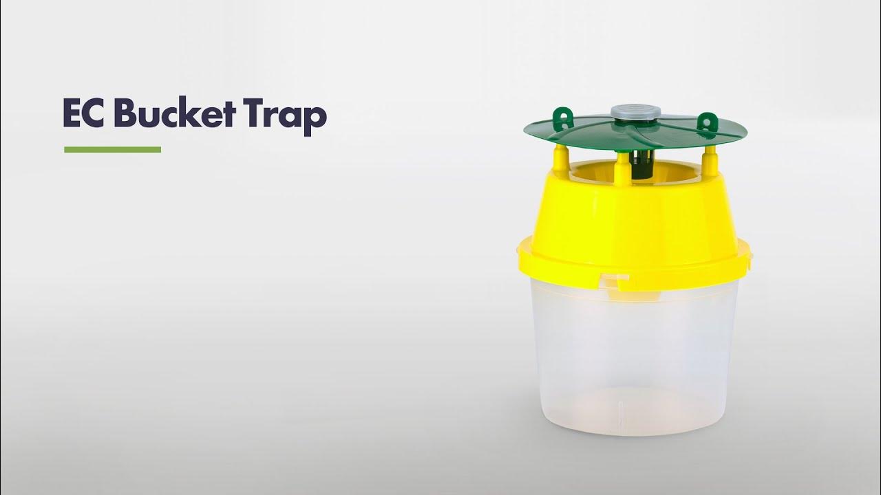 EC Bucket trap YouTube