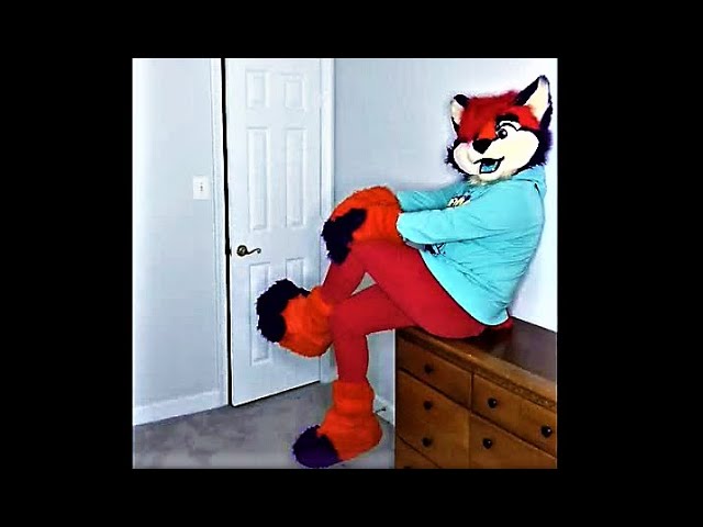 Weird Furries Tik Tok Videos class=