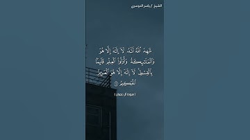 سورة آل عمران (١٨-١٩)/ ياسر الدوسري
