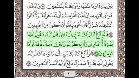 سورة البقرة من 67  - 68 مكررة خمس مرات للحفظ