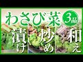 【わさび菜】レシピ3選｜漬け！炒め！和え！