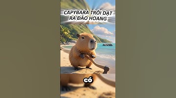 Capybara trôi dạt ra đảo hoang  #doraemon #nobita #doraemoncharacters #doraemonnobita