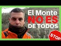 🔔 ¡EL MONTE NO ES DE TODOS! ⛔️ Actitudes temerarias en cacerías de jabalí