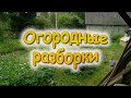 Огородные разборки