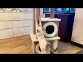 ИГРУШКА ДЛЯ КОШКИ Thai cat  КОГТЕТОЧКА НА ЗАКАЗ 😻. ТАЙСКИЙ КОТЕНОК ЦЕЛЕСТИНА ТАЙСКАЯ ЛЕГЕНДА 😽