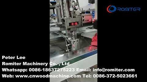 Automatic Plastic Clothespin Spring Assembling Machine