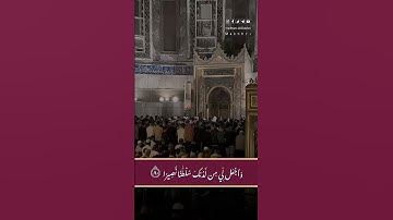 تلاوة مباركه من جامع آيا صوفيا لصلاة الفجر بإمانه الشيخ هيثم الدخين #هيثم_الدخين #اكسبلور #makhh21
