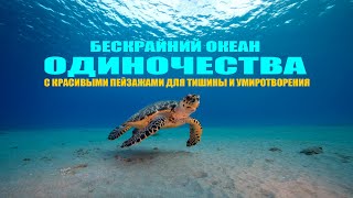 ОКЕАН УДОВОЛЬСТВИЯ ДЛЯ ТЕХ КТО ИЩЕТ УЕДИНЕНИЯ И RELAXATION!