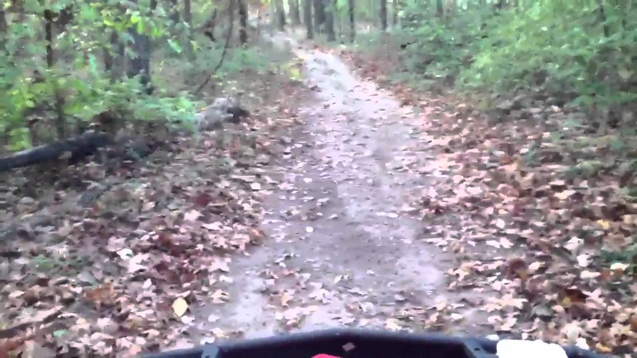 NEW SWAMP FOX TIRES ON KINGQUAD  700