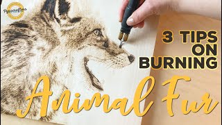 6 Woodburning Tips for Creating Realistic Animals