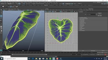 Creating Foliage in Maya using Alphas, Part 1