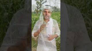 खेत मे सींचाई #aicontentcreation #farming #subscribemychannel