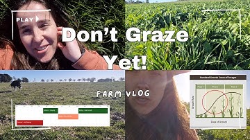 Rotational Grazing 101: Knowing When Pasture is Ready