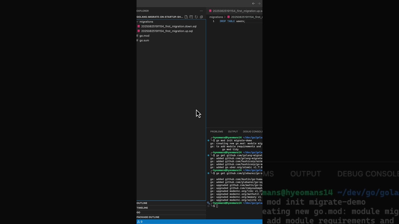 Golang Migrate: Auto-Run Database Migrations on App Startup 🚀