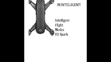 Intelligent Flight Modes | DJI Spark Drone How-To