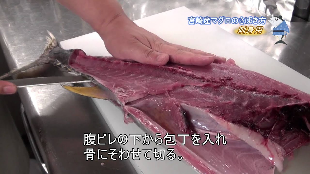 マグロの捌き方 刺身用 Youtube