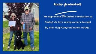 Rocky Good Dog™ Board & Train | Boise Poodle Training by ValorK9Academy® 16 views 8 months ago 2 minutes, 57 seconds