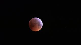 Total Lunar Eclipse / Totale Mondfinsternis 2019