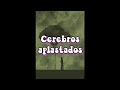 Cerebros aplastados / Yamaha AES620