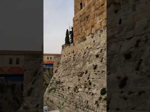 Historias de Jerusalén 4. La ciudadela de David