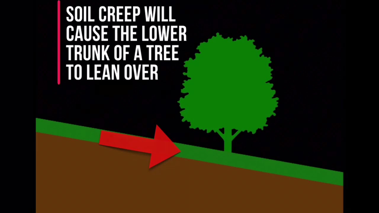 How Can We Prevent Soil Creep?