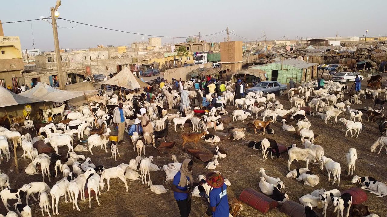 CAP SUR TABASKI POINT DE  VENTE MBARBATT DE LA MAURITANIE