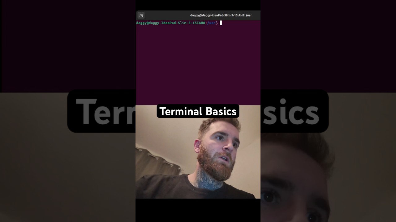 A few basics to get started with the Linux terminal. 
