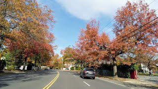 4K Drive Long Island: Searingtown - Port Washington - Sands Point, NY 🍁 Fall Foliage | Nov 2021