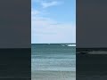 Powerboats RACE view from the beach in Florida! 🔥🏝️