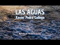 LAS AGUAS | Xavier Pedro Gallego