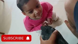 baby playing with pets baby playing with animal baby play baby playing baby  with bird  baby love