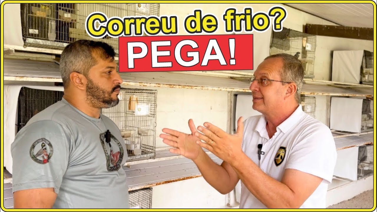Se você ver isso num coleiro… PEGA NA HORA!