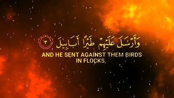 سورة الفيل للقارئ ياسر الدوسري Surah Al-Fil translation Quran