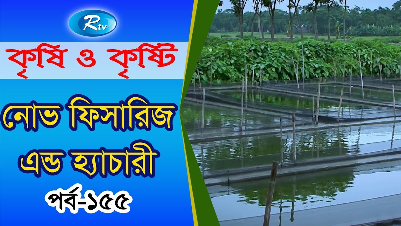 Krishi O Krishti | নোভা ফিসারিজ এন্ড হ্যাচারী | Episode-155 | Rtv Lifestyle
