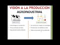 VISION A LA PRODUCCION AGROINDUSTRIAL